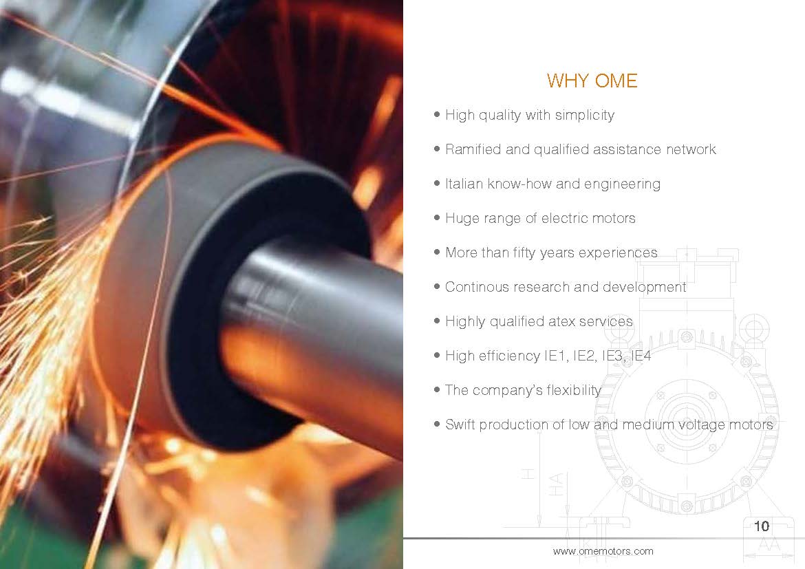 COMPANY PROFILE OME_頁面_11